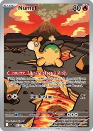 Numel – Ascended Heroes – 223/217 – Illustration Rare